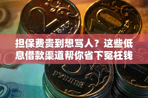 济南担保费贵到想骂人？这些低息借款渠道帮你省下冤枉钱